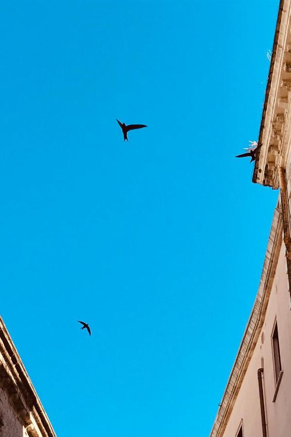 B&B Via Dell'Azzurra Bari Dış mekan fotoğraf